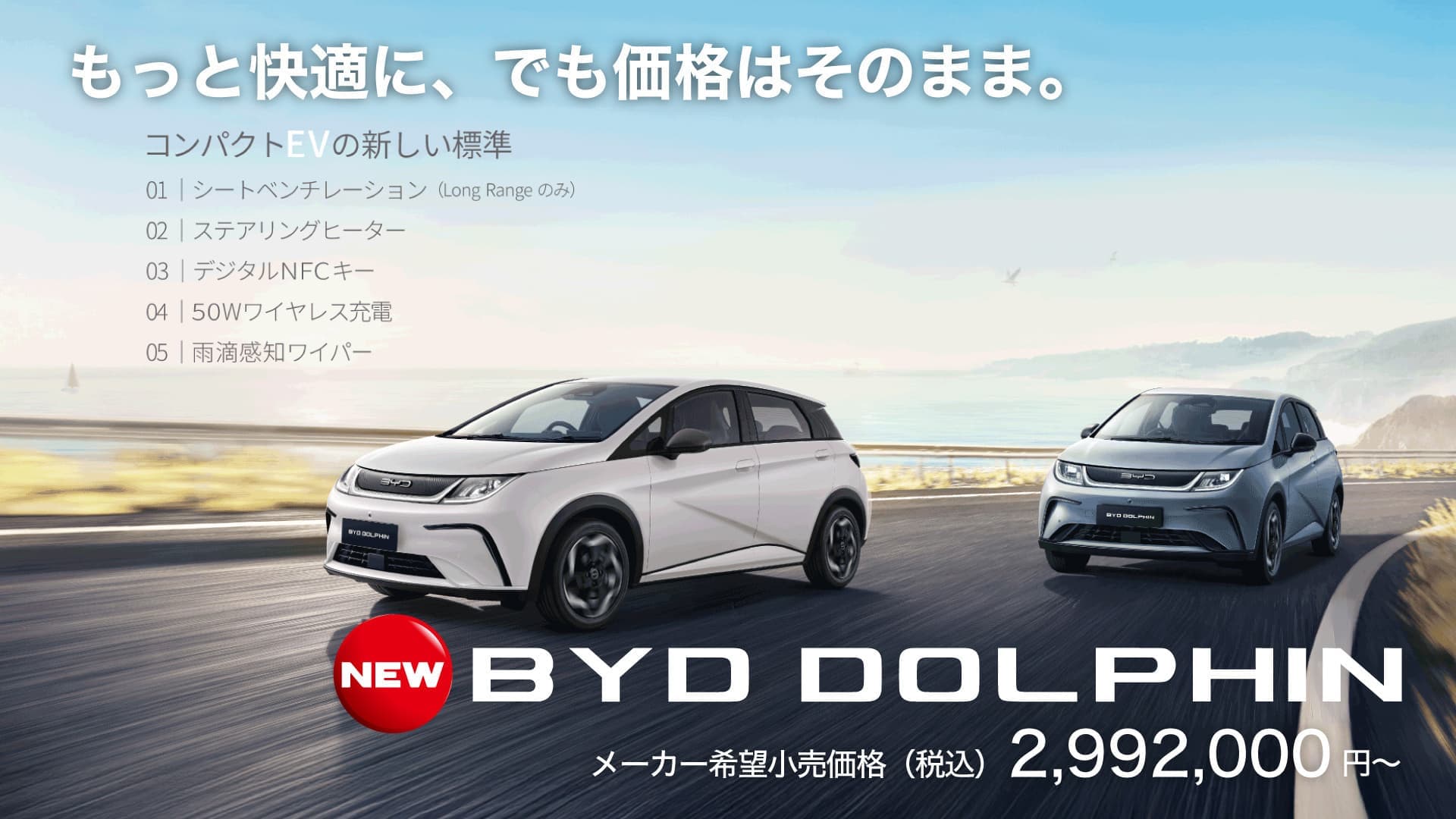 new-dolphin-2026-02_01.jpg